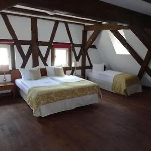 Отель Altstadthotel Molitor